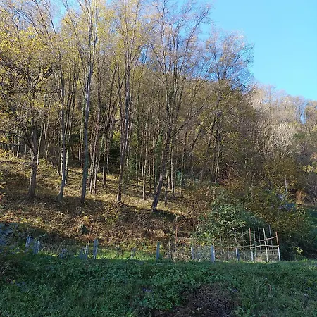 La Casa Di Alice Сasa de vacaciones Valbrona