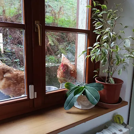 Hébergement de vacances La Casa Di Alice *